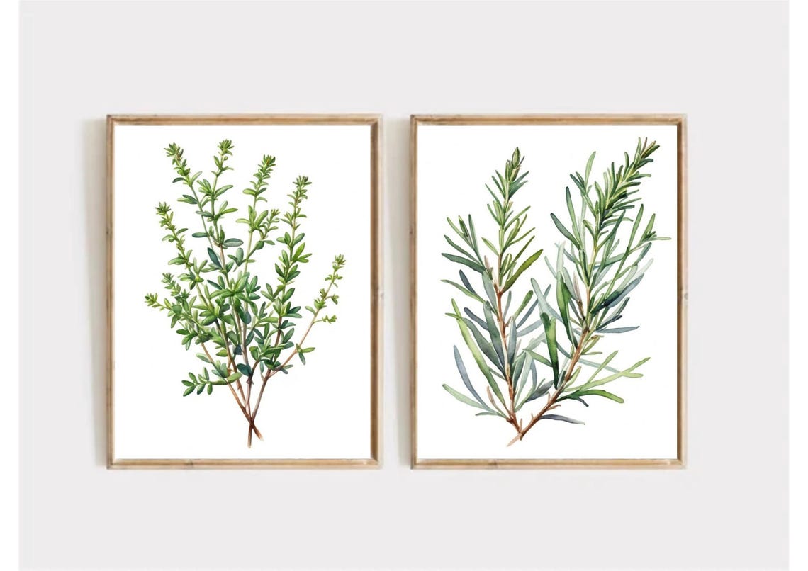 Thyme Sprigs With Tiny Leaves Botanical Watercolor Kitchen Herb Poster - Image 4