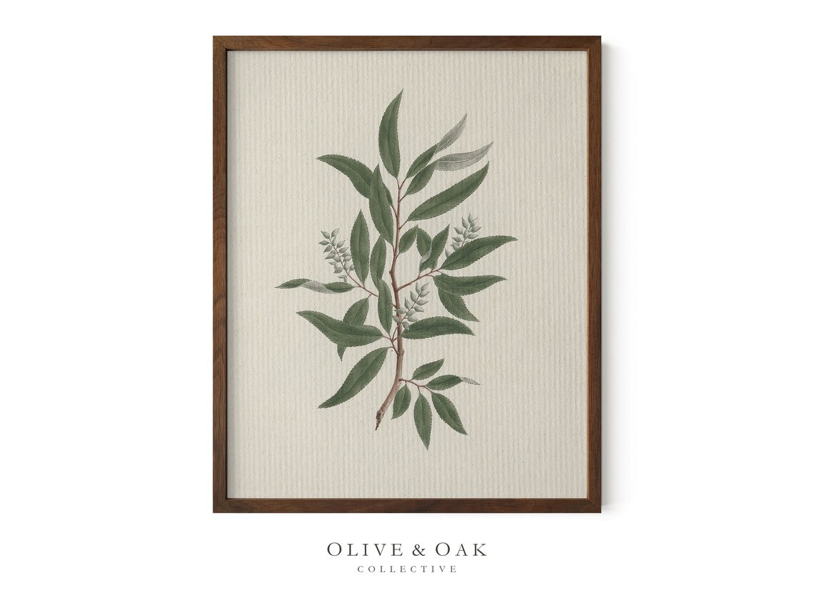 Vintage Botanical Tree Branch Art Print, Farmhouse Decor - Image 2
