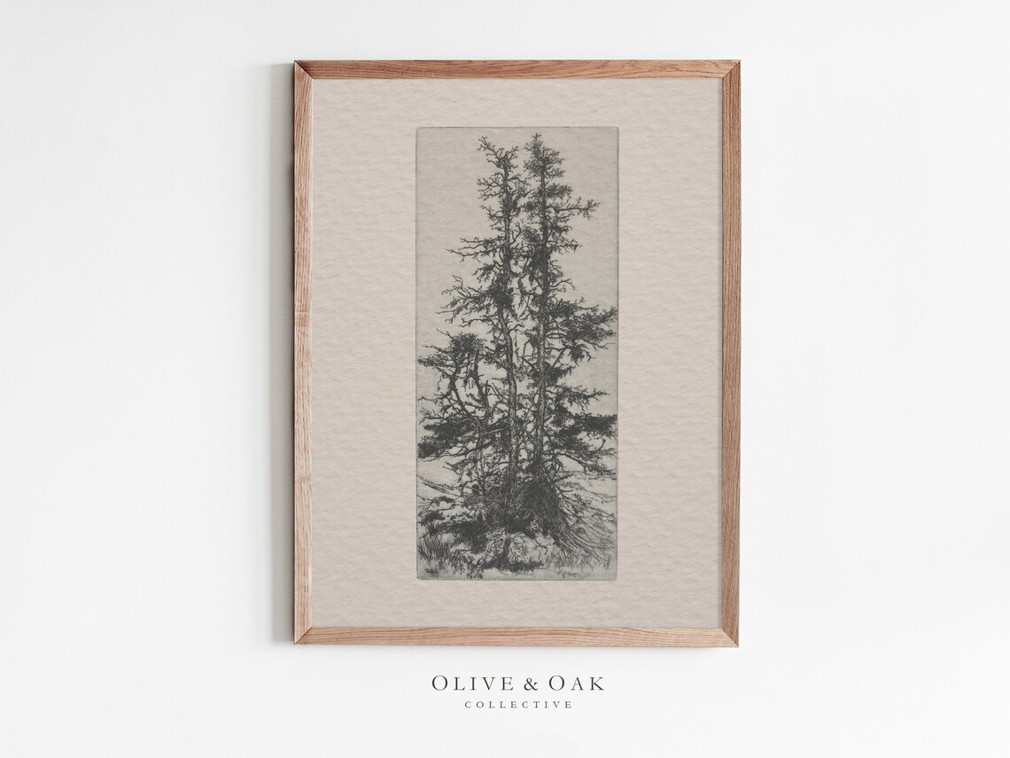 Vintage Tree Sketch, Minimalist Tree Etching Poster
