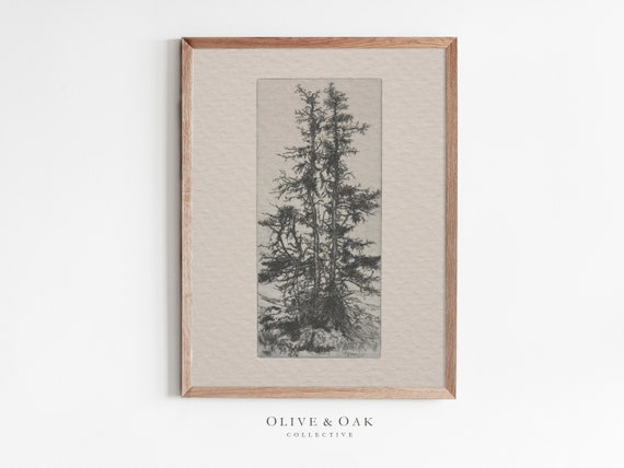 Vintage Tree Sketch, Minimalist Tree Etching Poster