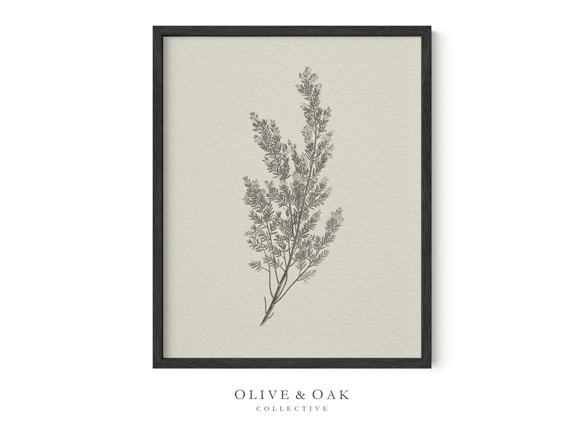 Rustic Botanical Art Print, Simple Neutral Decor - Image 3