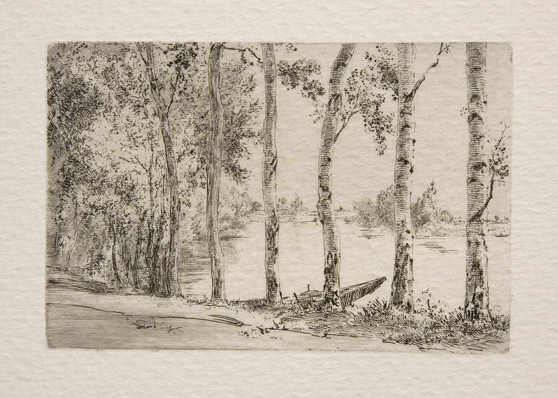 Vintage Birch Tree Sketch, Rustic Botanical Art Print - Image 3