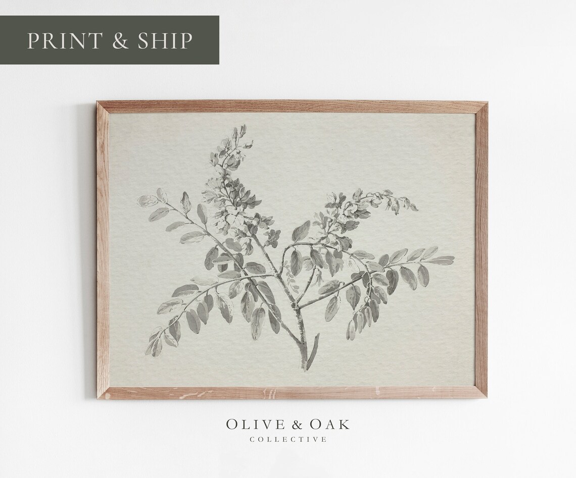 Neutral Branch Sketch Art Print, Minimal Decor