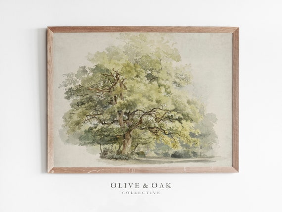 Vintage Oak Tree Drawing, Rustic Botanical Art Print