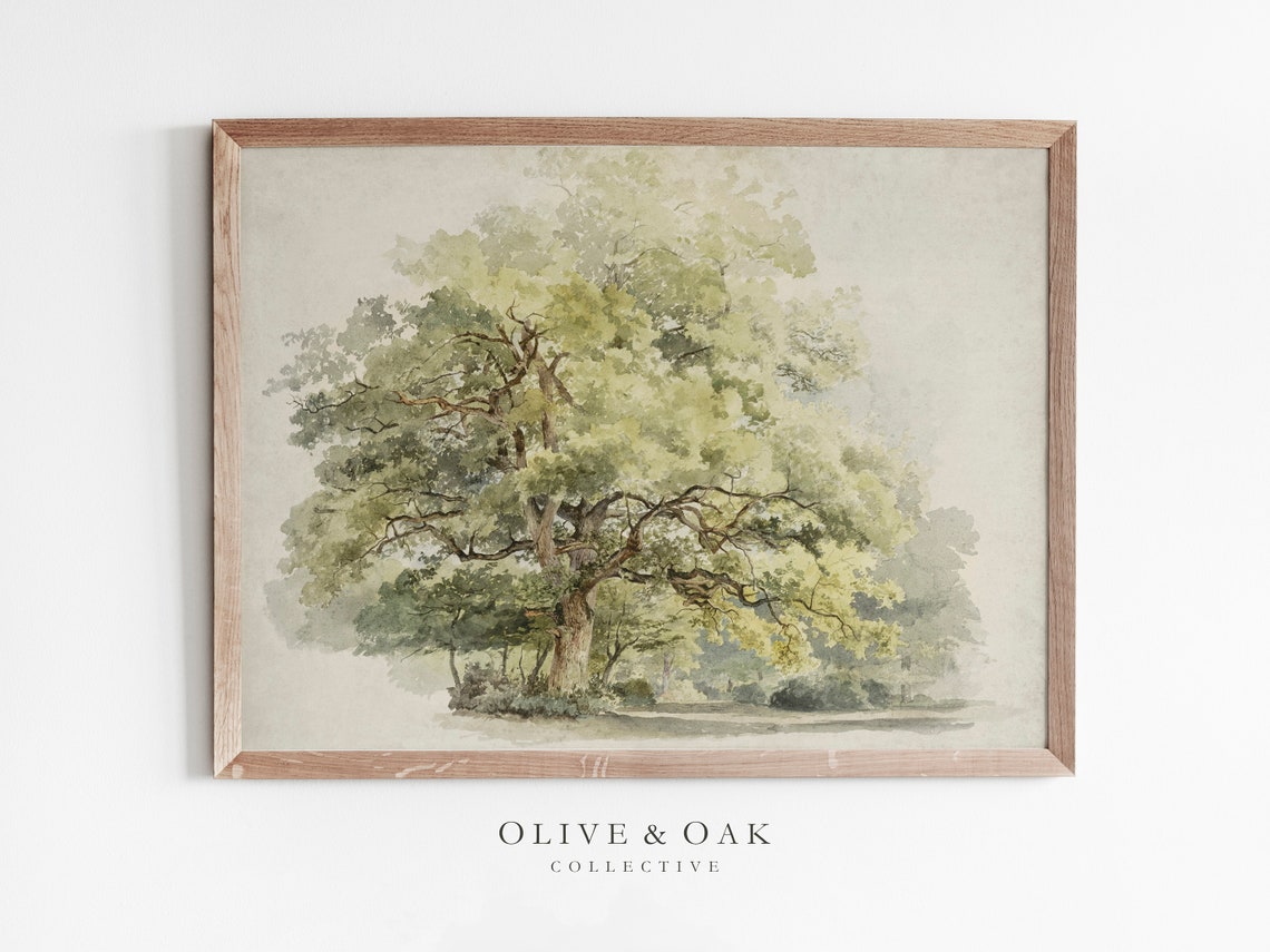 Vintage Oak Tree Drawing, Rustic Botanical Art Print