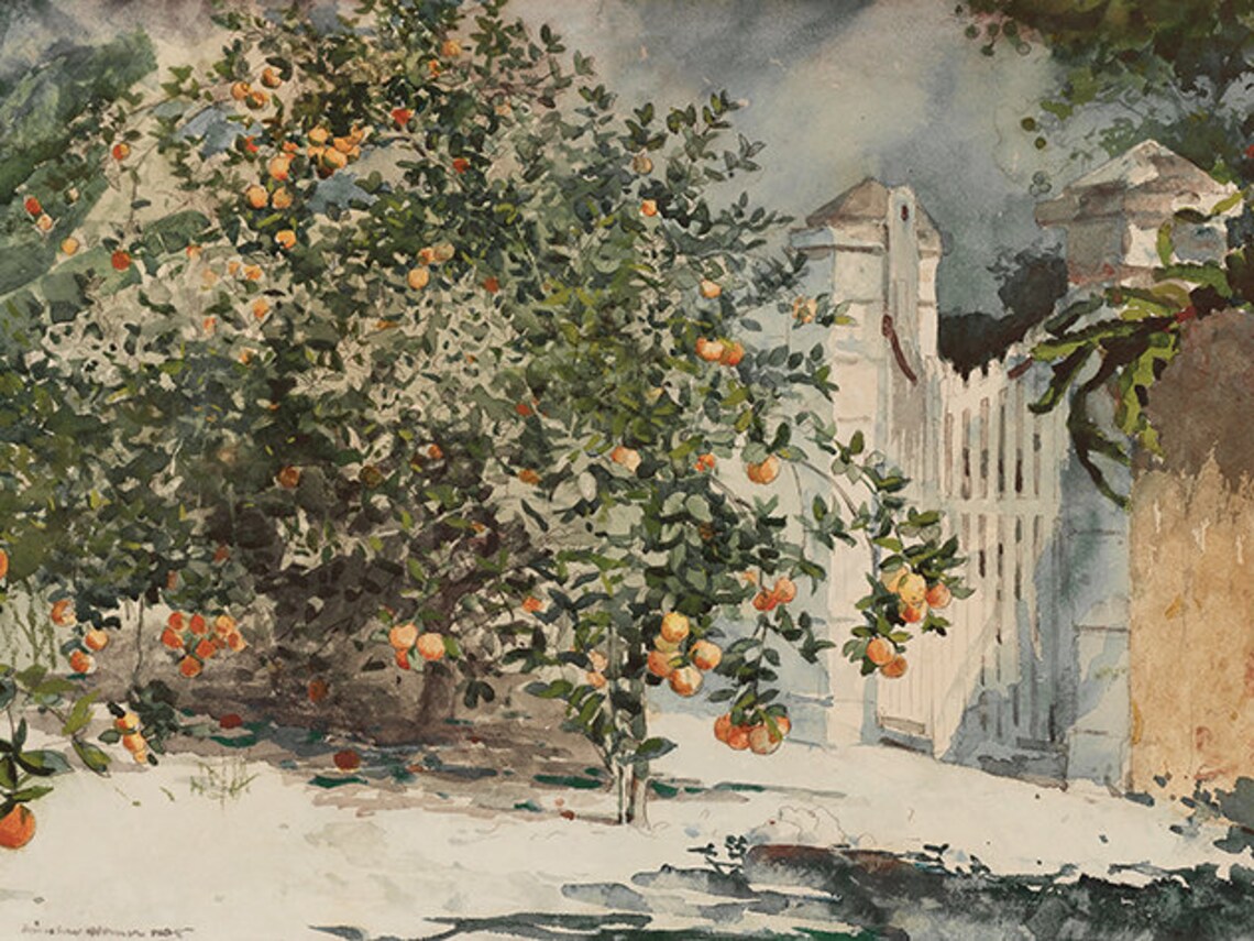 Spanish Architecture Watercolor Art Print, Kitchen Decor - Image 4