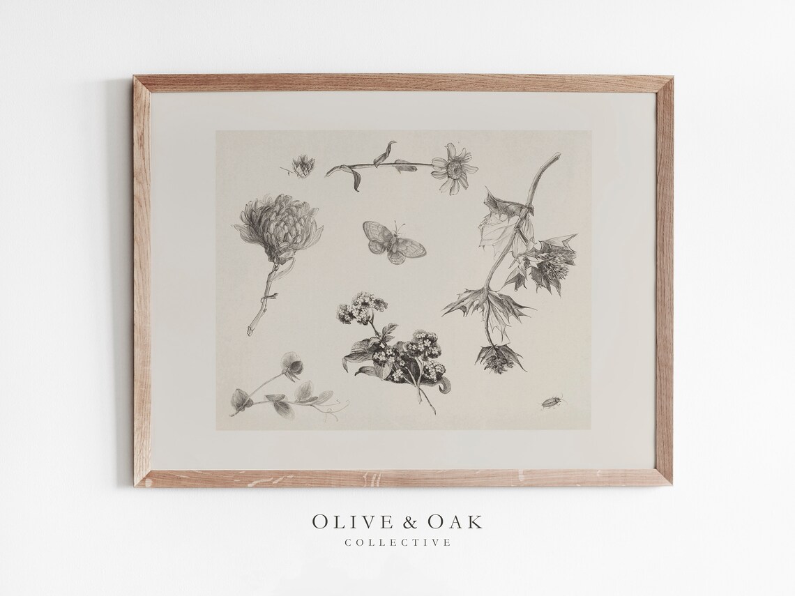 Rustic Flower Sketch, Antique Botanical Art Print