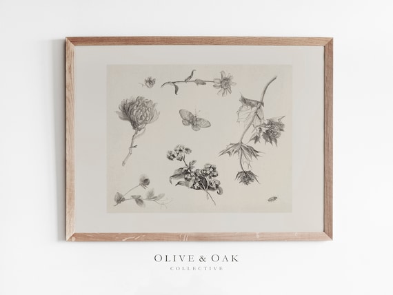 Rustic Flower Sketch, Antique Botanical Art Print