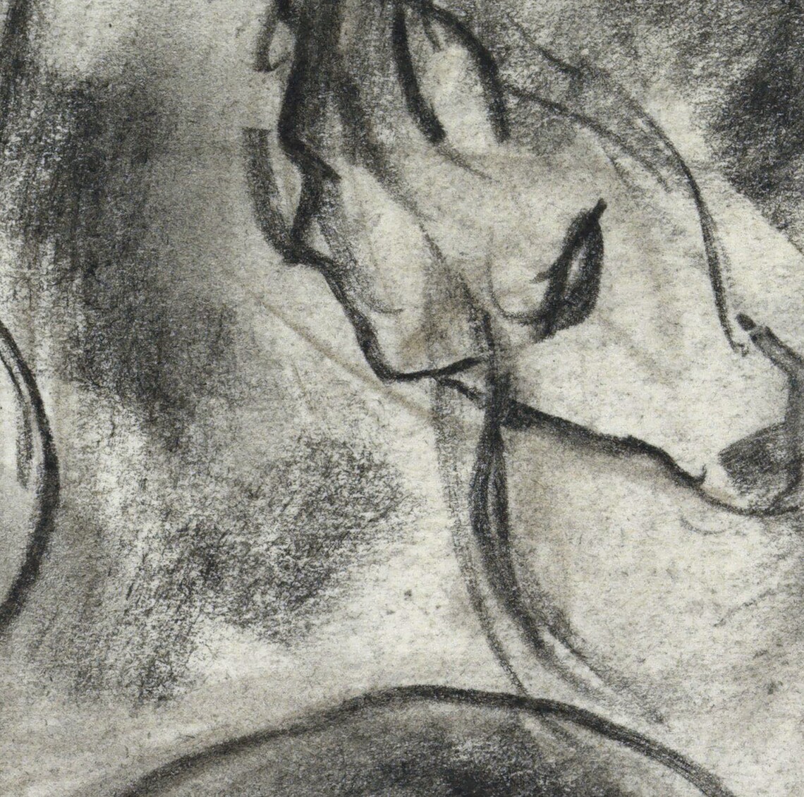 Antique Horse Charcoal Drawing, Modern Wall Art Print - Image 3