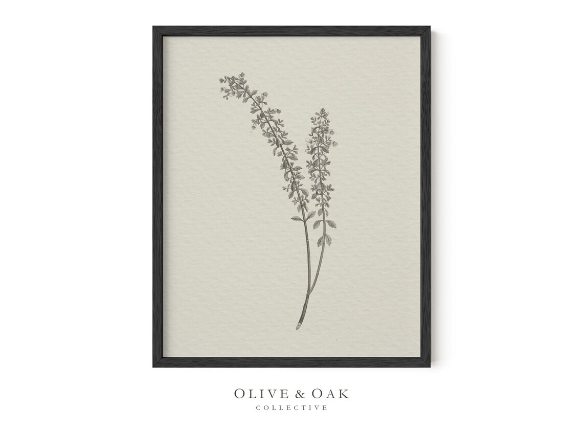 Vintage Botanical Drawing, Neutral Sketch Artwork - Image 3