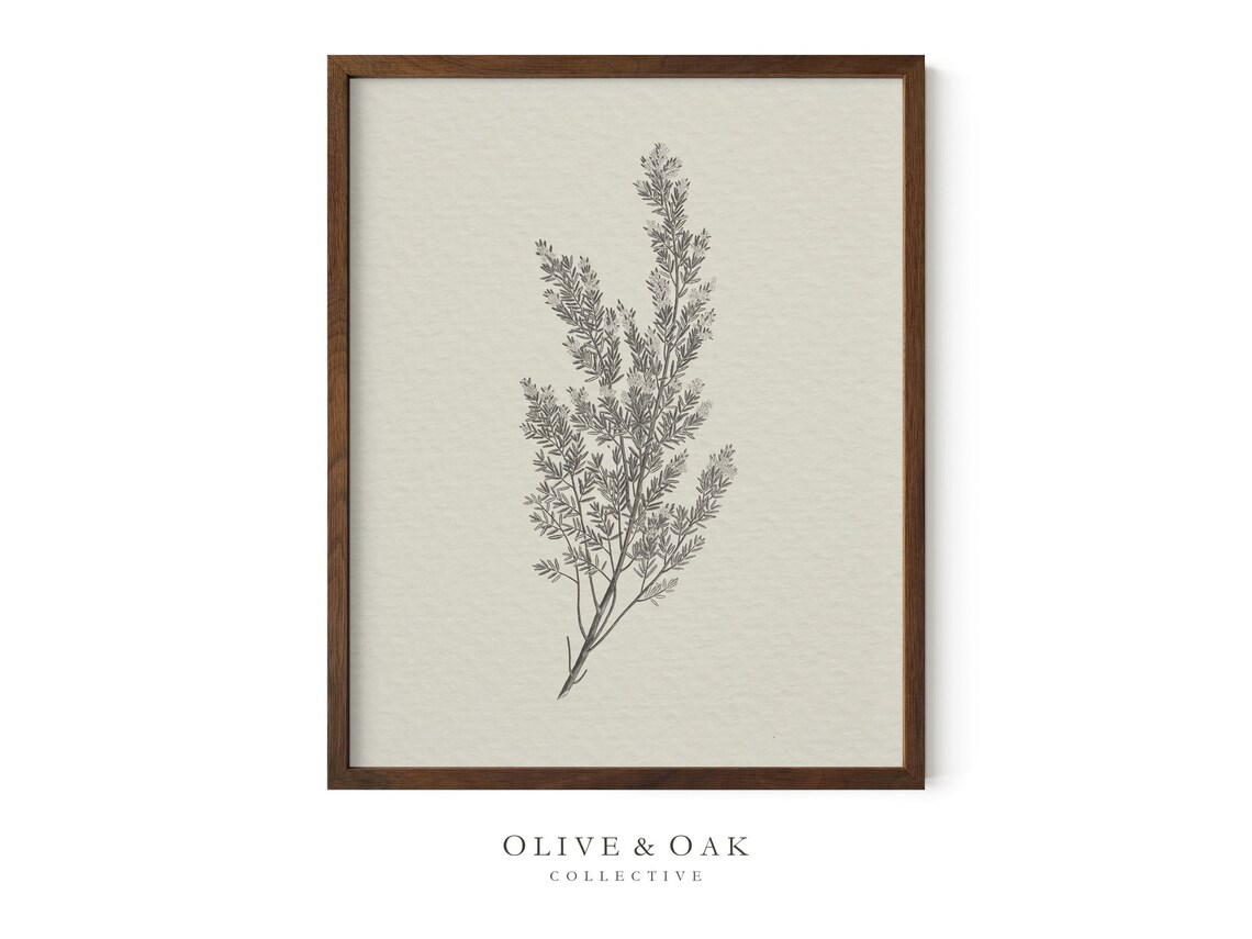 Rustic Botanical Art Print, Simple Neutral Decor - Image 2