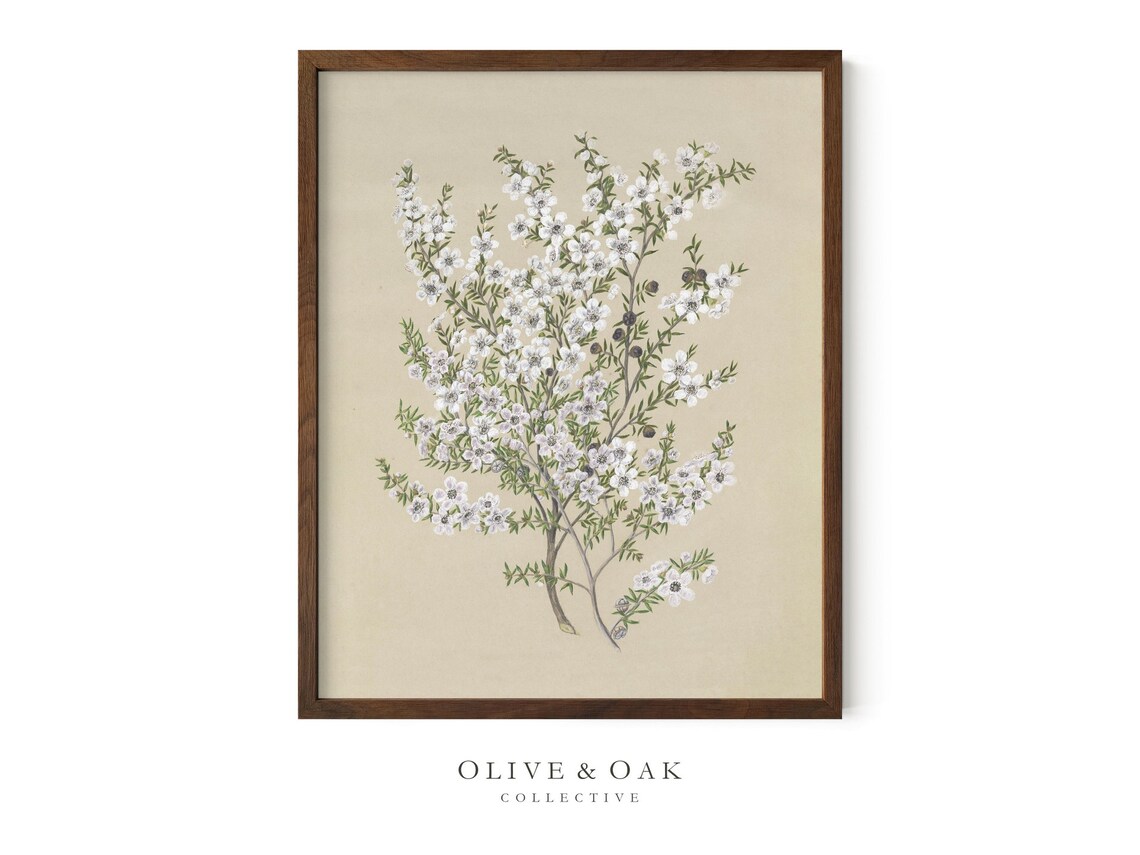 Vintage Flower Drawing Art Print, Floral Decor - Image 4