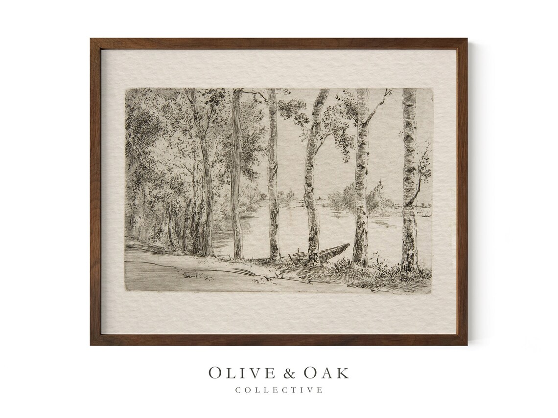 Vintage Birch Tree Sketch, Rustic Botanical Art Print - Image 4