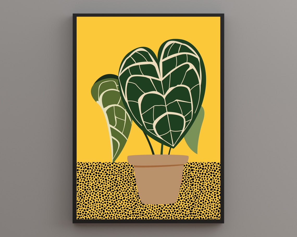 Tropical Heart Leaf Plant In Terracotta Pot Bright Yellow Poster