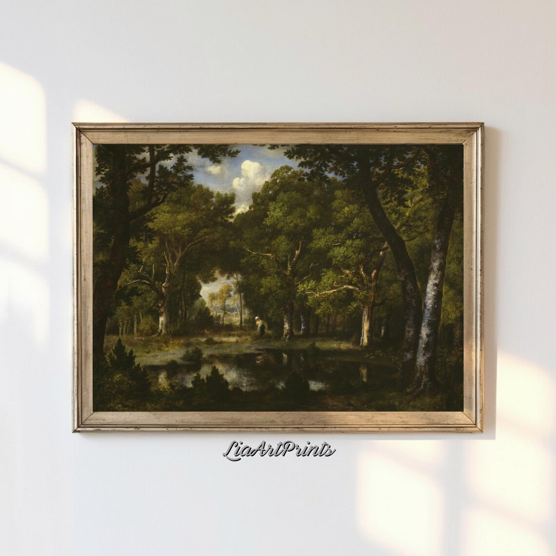 Tranquil Forest Reflection, Peaceful Woodland Landscape