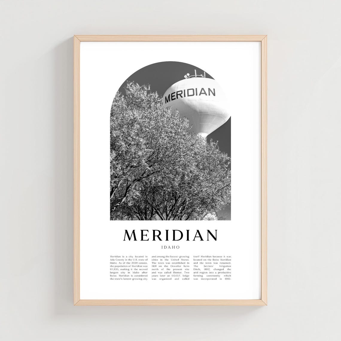 Meridian Idaho Water Tower Over Trees Black and White Photo Poster