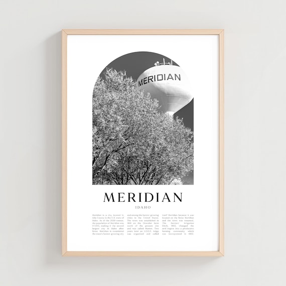 Meridian Idaho Water Tower Over Trees Black and White Photo Poster
