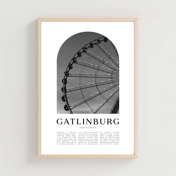 Gatlinburg Tennessee Ferris Wheel Black And White Photo Poster
