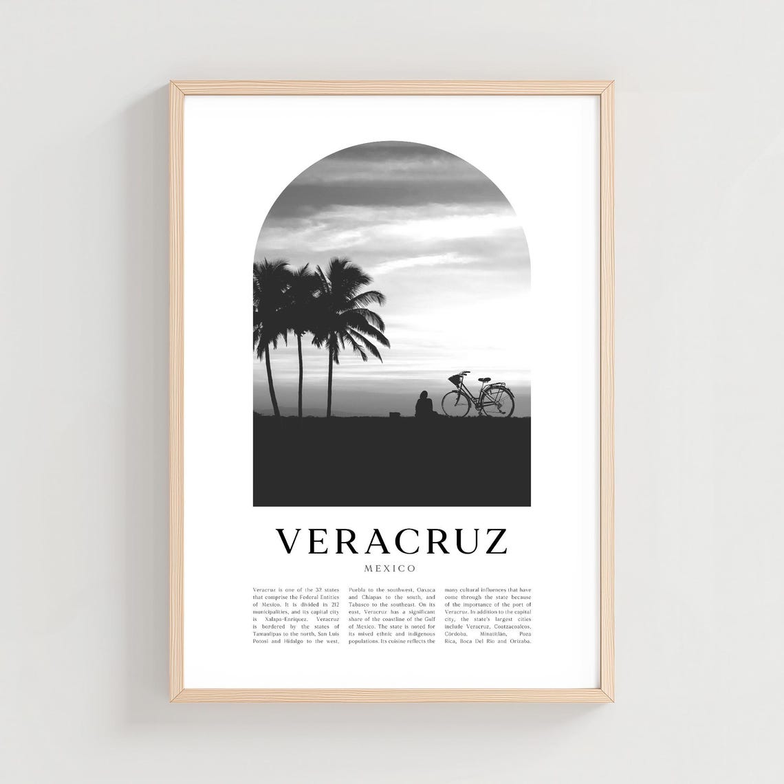 Veracruz Mexico Black and White Palm Beach Cyclist Photo Poster