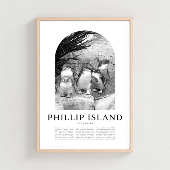 Phillip Island Travel Poster Print Wall Art Australia City Gift Decor Cn54m
