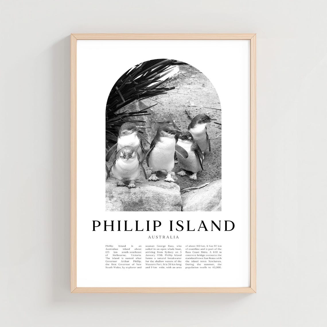 Phillip Island Australia Little Penguins Black White Travel Poster