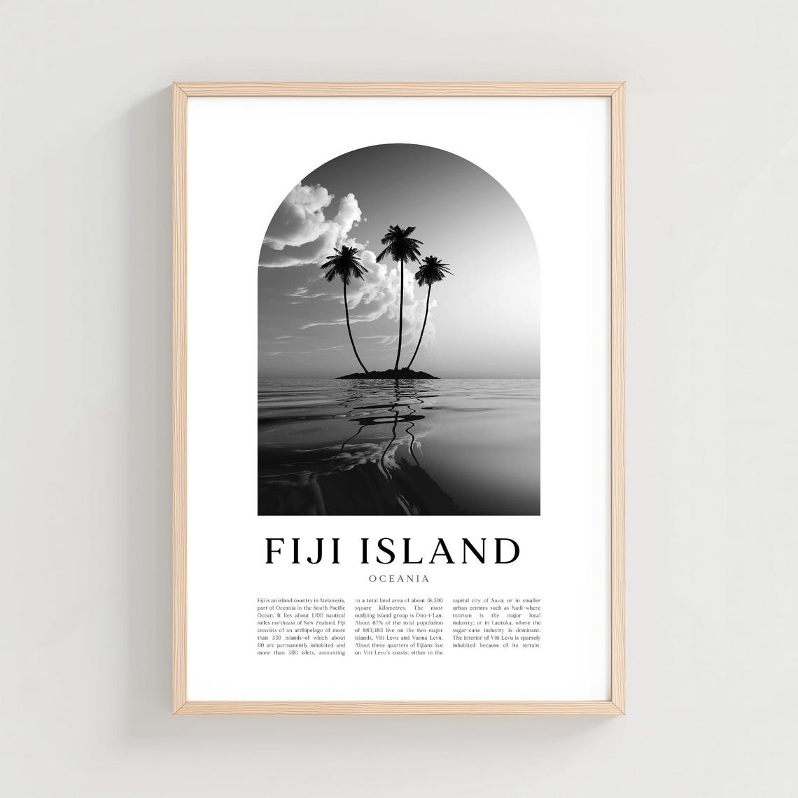 Fiji Island Palm Islet Black and White Arch Photography Poster
