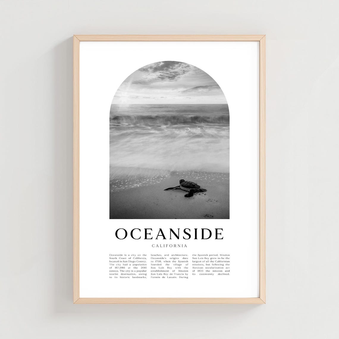 Oceanside California Beach Sea Turtle Black White Photo Poster
