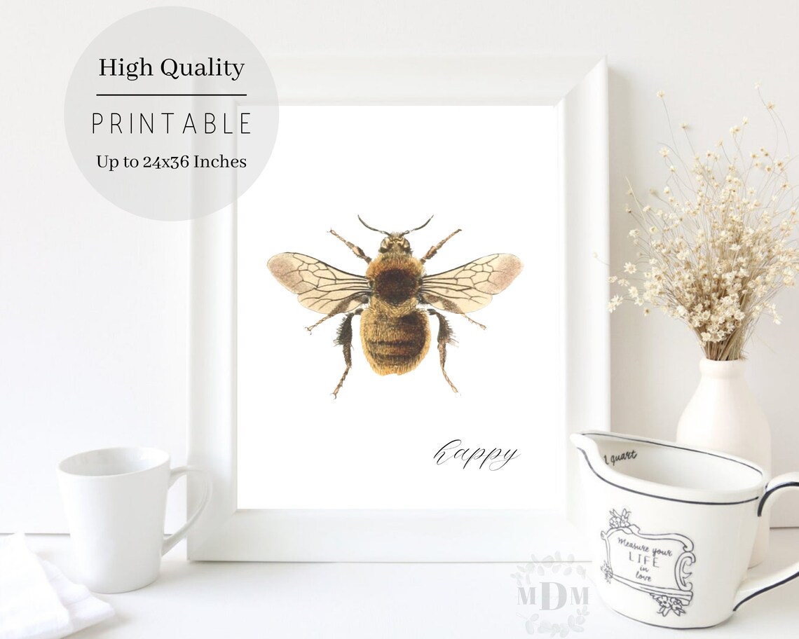 Vintage Bumble Bee Illustration Happy Script White Spring Wall Art Poster
