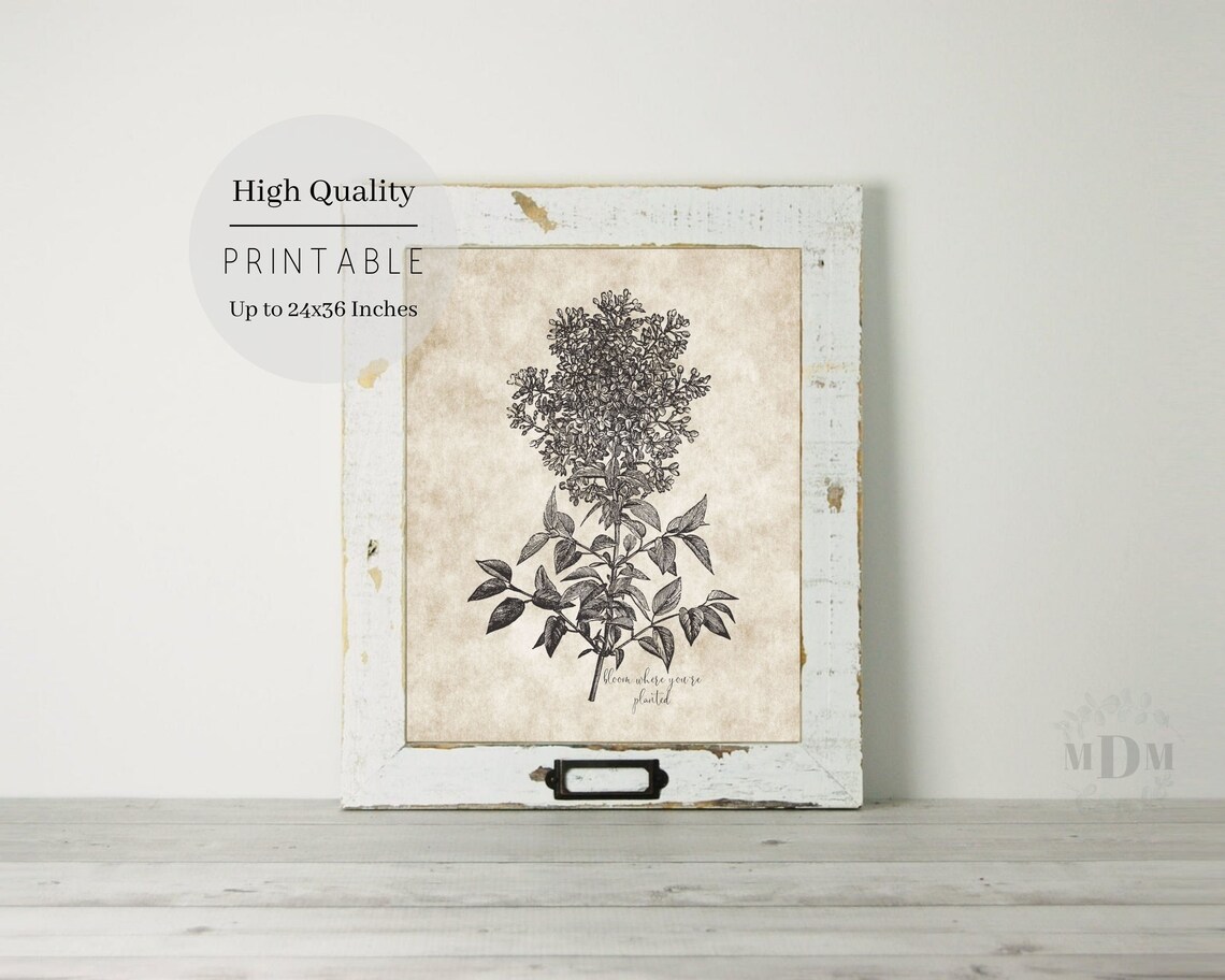 Vintage Lilac Botanical Illustration Bloom Where Youre Planted Wall Art - Image 4