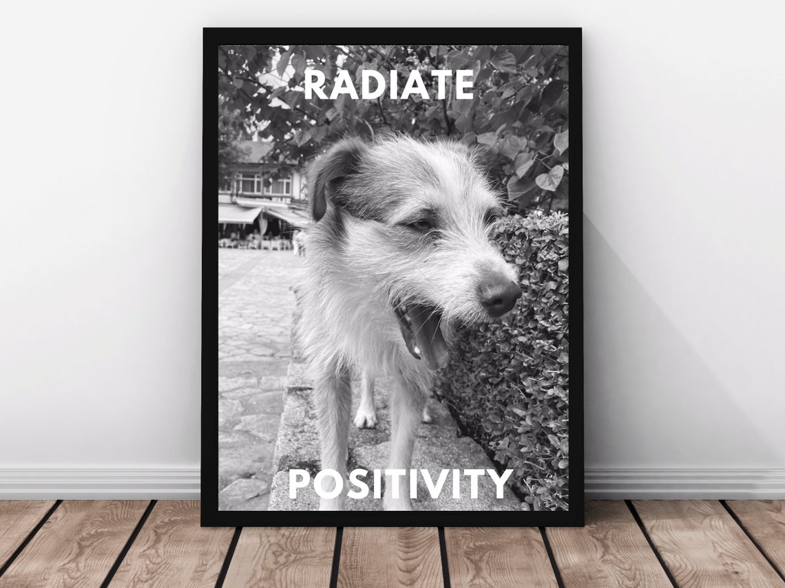 Radiate Positivity Dog Smiling Wall Art Sassy Dog Gift Love Cute Dog Photo Wall Animal Photo Gift Dog Mom Love Positive Quote Wall - Image 3