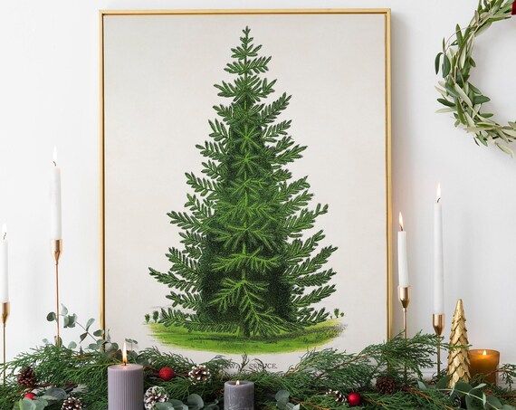 Christmas Vintage Spruce Illustration Holiday Tree Art Print