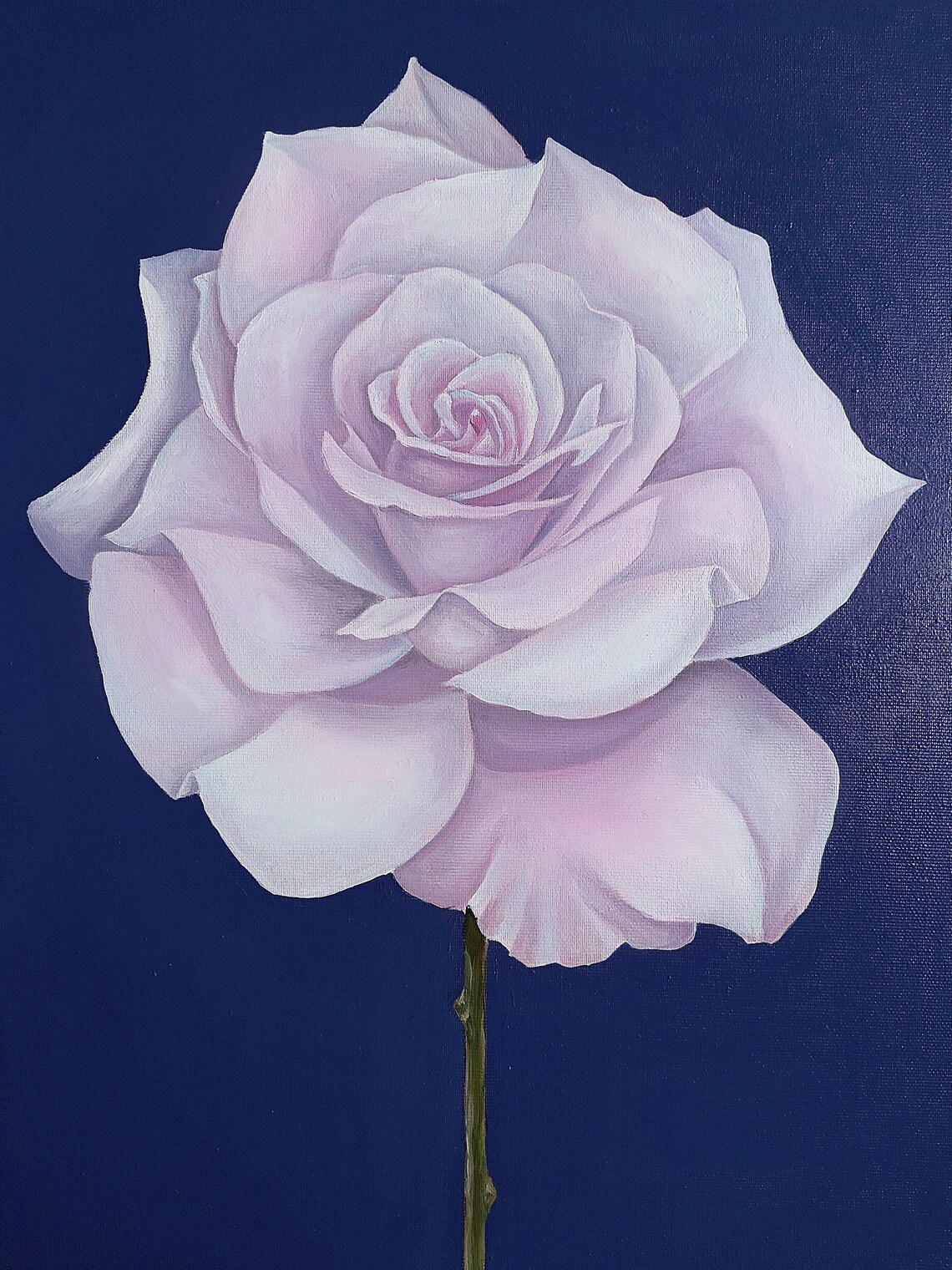 White Rose Oil Painting Poster Pale Bloom On Navy Background