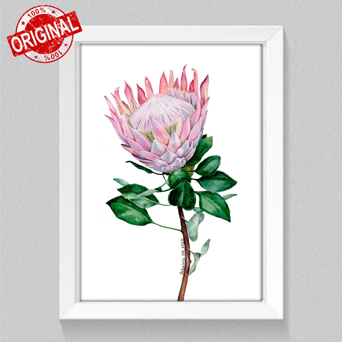 Pink King Protea Blossom Botanical Watercolor Flower Art Poster - Image 2