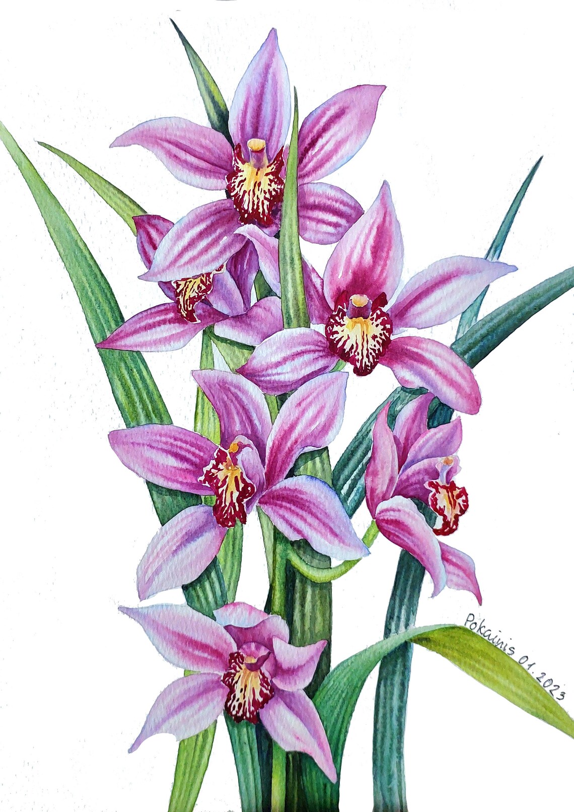 Violet Orchid Sprays Crimson Gold Throats Detailed Watercolor Print