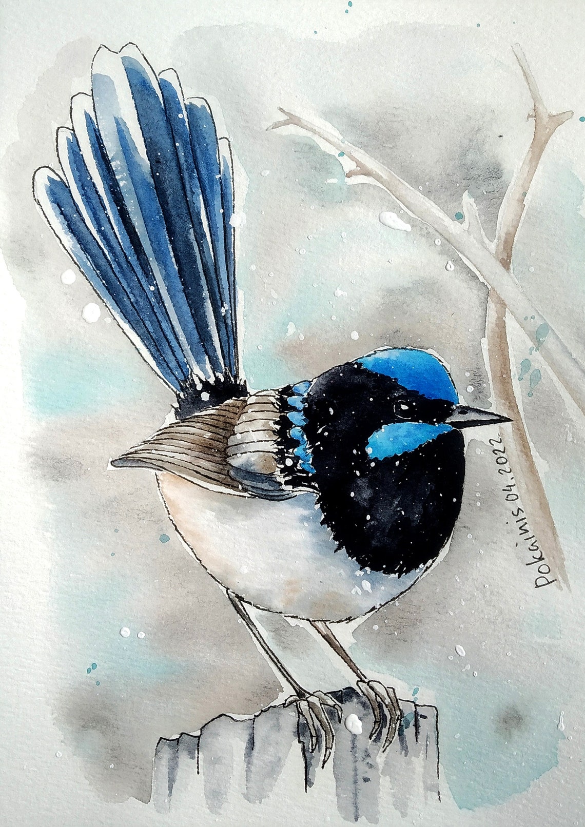 Superb Fairywren Raised Blue Tail Snowfall Watercolor Poster