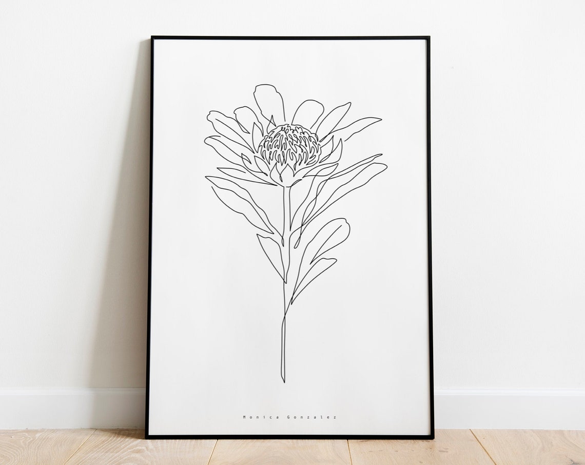 Waratah Flower Single Stem Minimalist Botanical Line Art Poster
