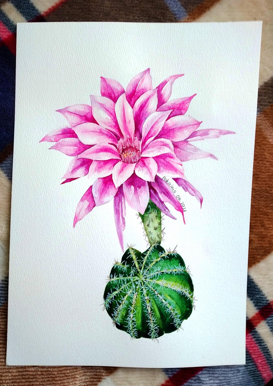 Flowering Cactus Pink Bloom Watercolor Botanical Plant Art Poster - Image 5