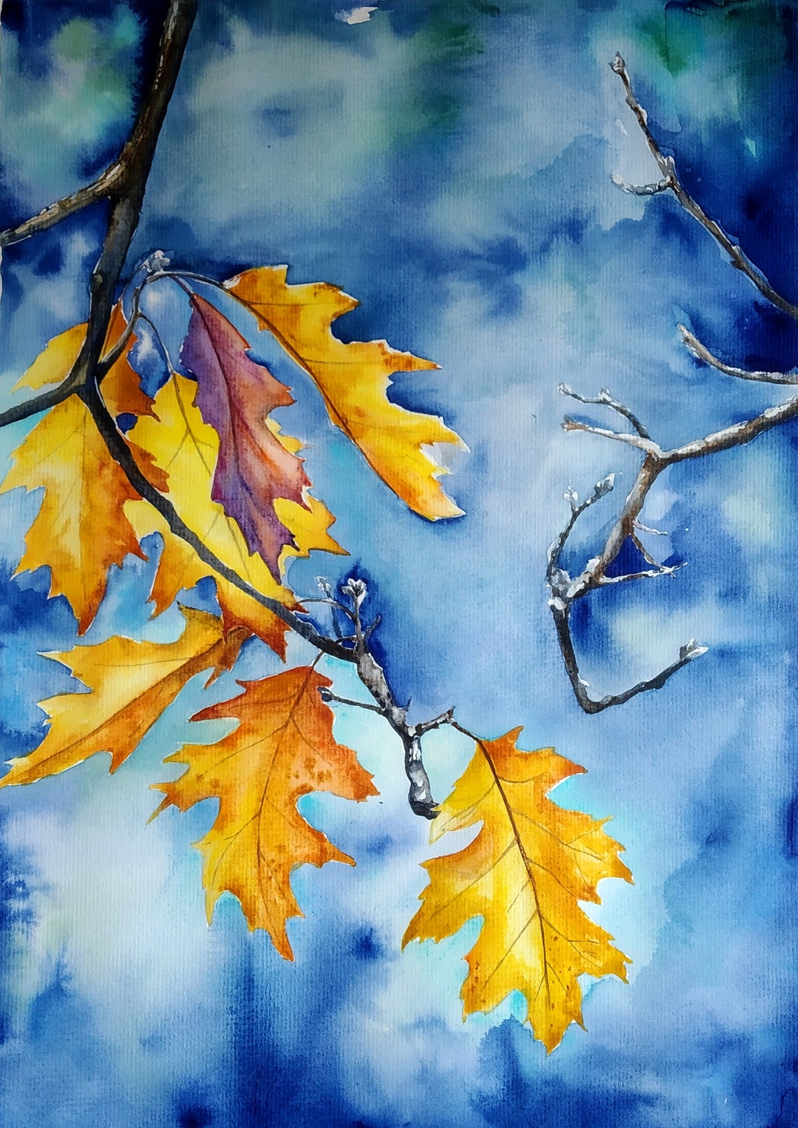 Autumn Oak Leaves Falling Over a Deep Blue Sky Watercolor Print