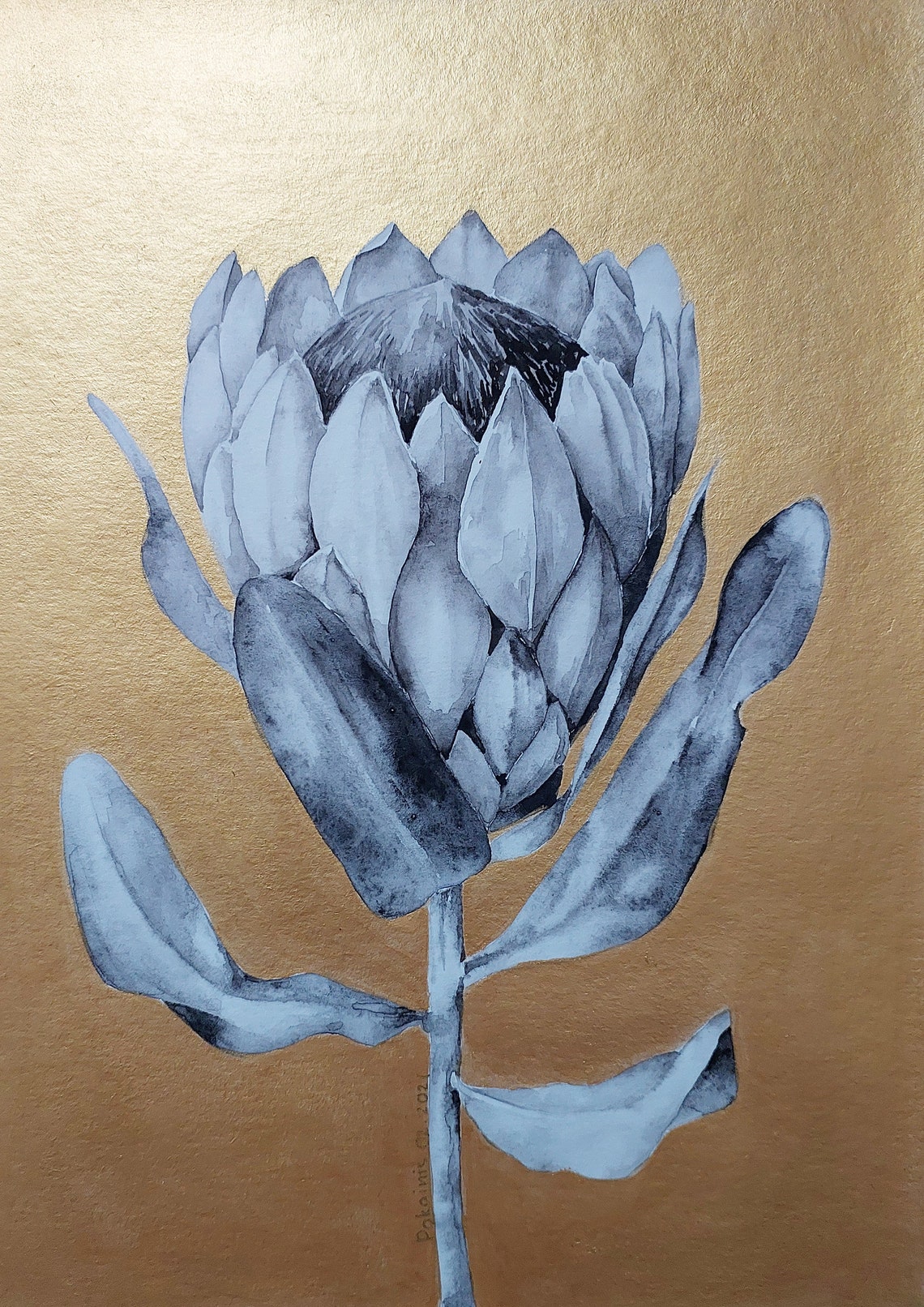 King Protea Grey Watercolor on Gold Background Floral Poster