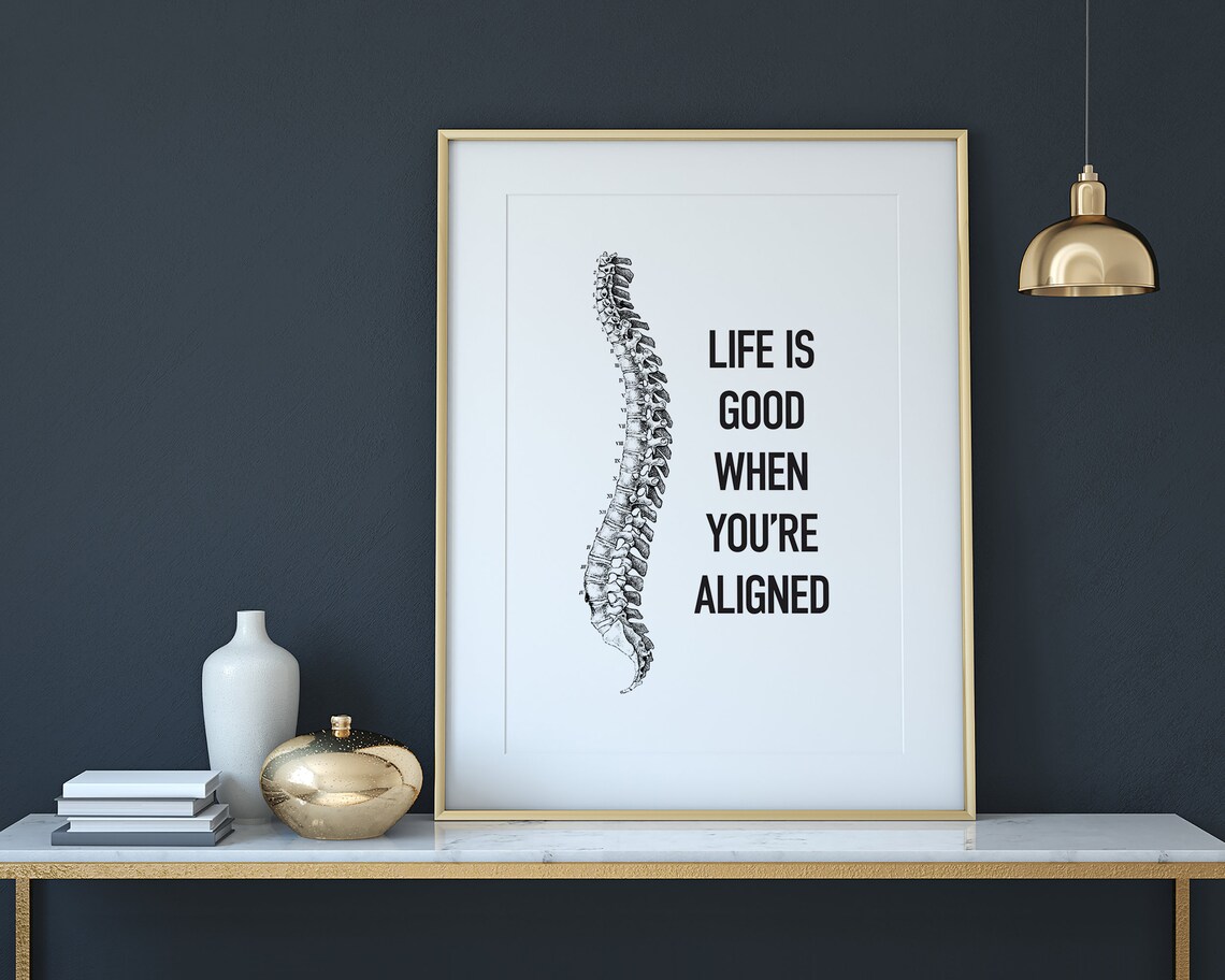Chiropractic Spine Anatomy Poster, Office Decor - Image 2
