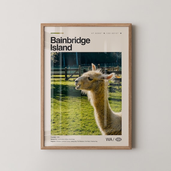 Bainbridge Island Washington Photo Print Alpaca Pasture Farm Decor