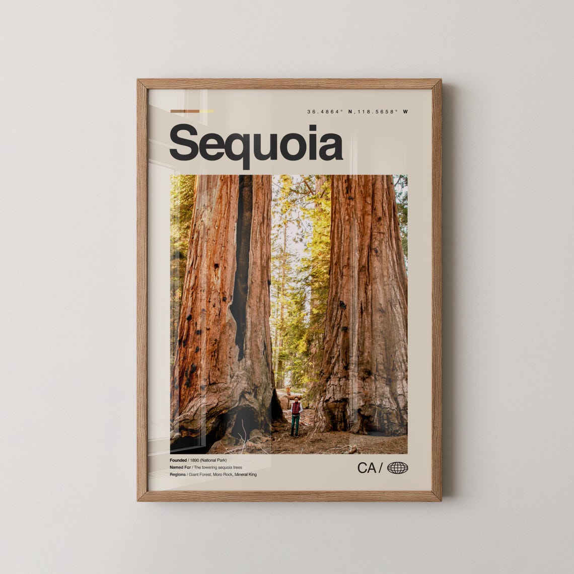 Sequoia National Park Giant Forest Trees Photo Travel Poster
