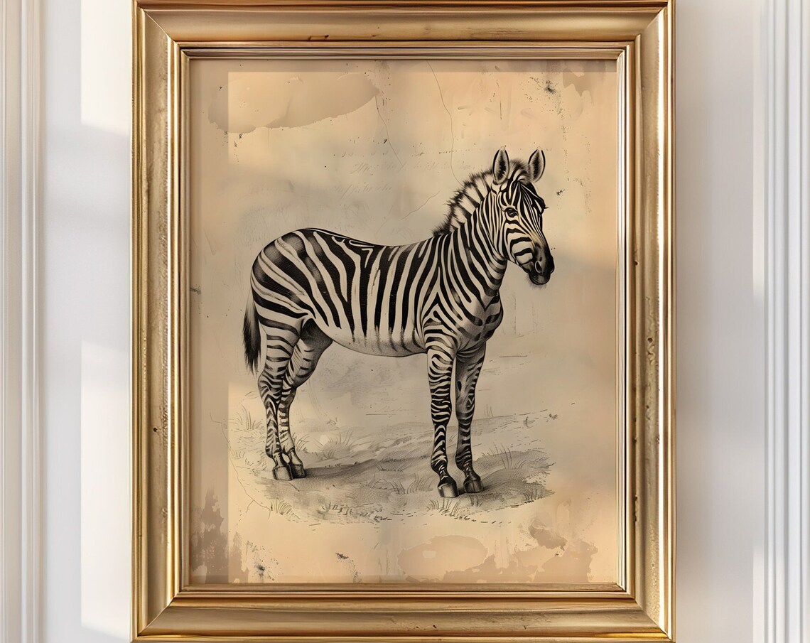 Vintage Zebra Print, Safari Animal Wall Art Print - Image 4