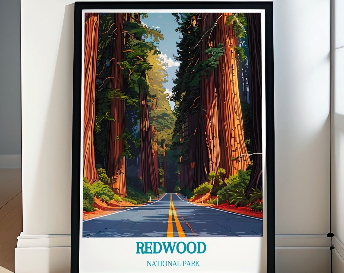 Redwood National Park Avenue Of The Giants Road Scenic Poster