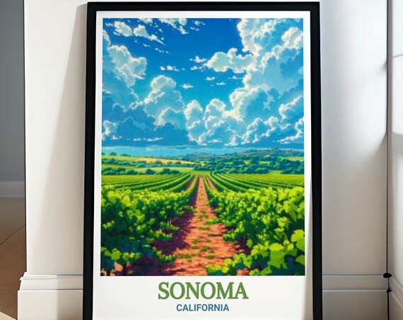 Sonoma California Green Vineyard Rows Wine Country Travel Poster