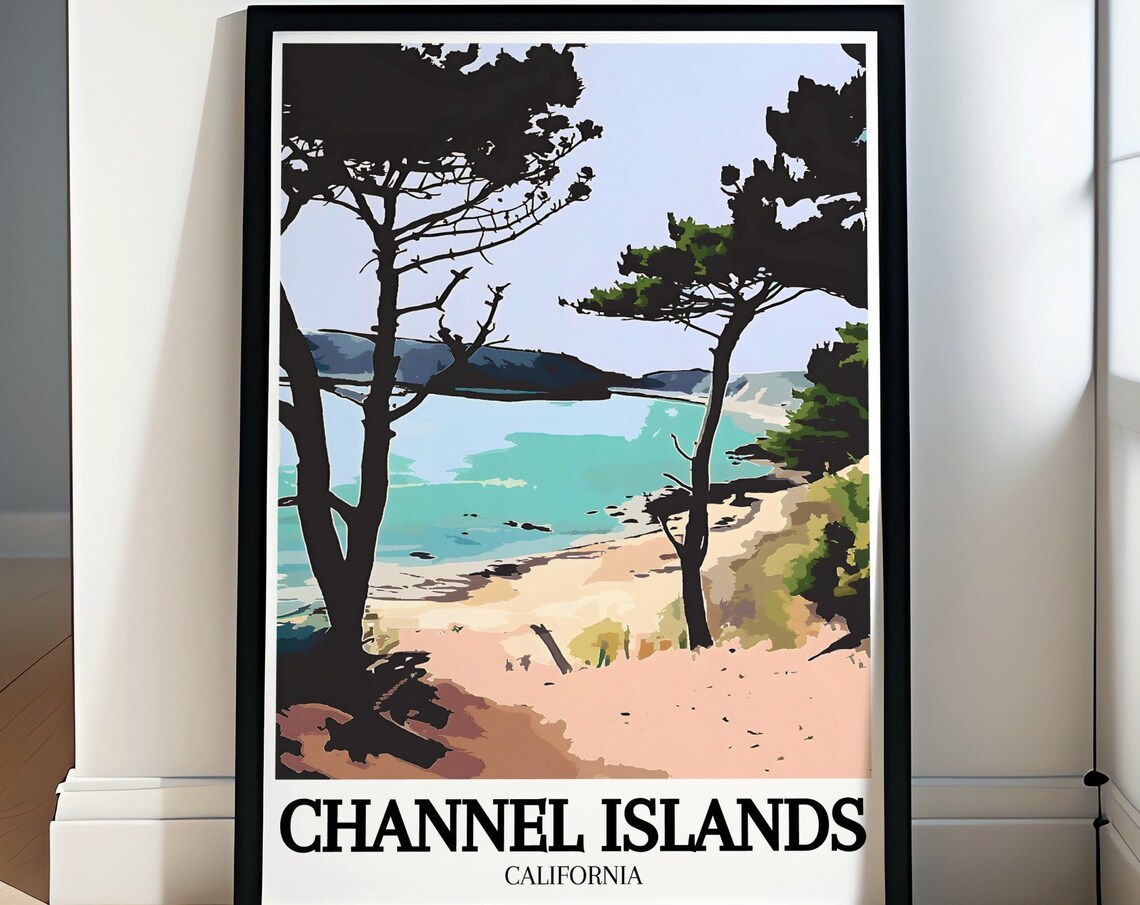 Channel Islands Torrey Pines Hidden Cove California Travel Poster