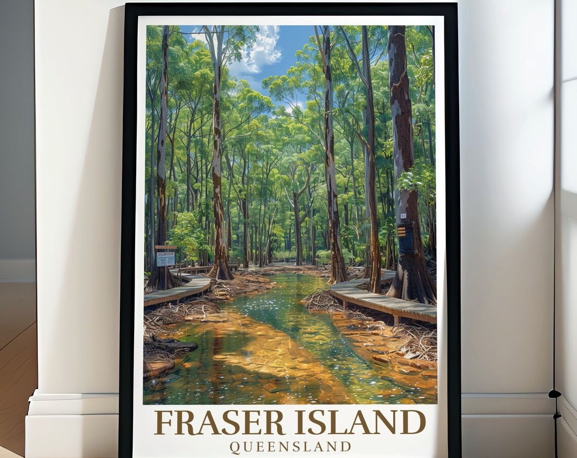 Fraser Island Queensland Rainforest Creek Boardwalk Nature Poster