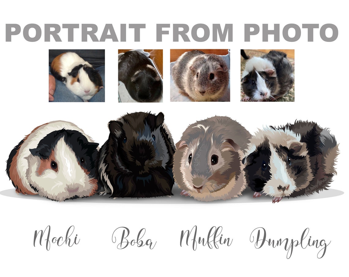Custom Four Guinea Pig Portrait Mochi Boba Muffin Herd Poster