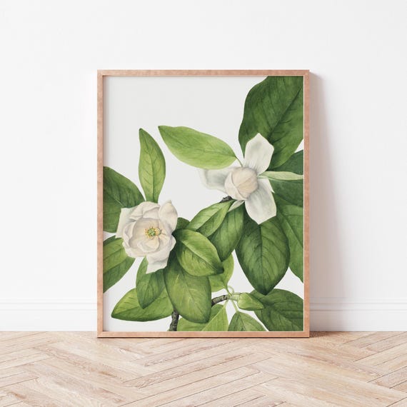 Vintage Botanical Flower Art Wall Prints Wild Violets Mw0003