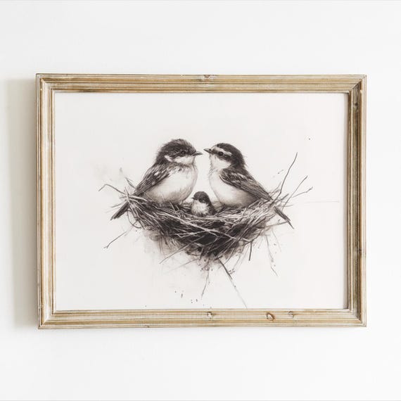 Bird Nest Pencil Sketch, Baby Birds Nursery Art